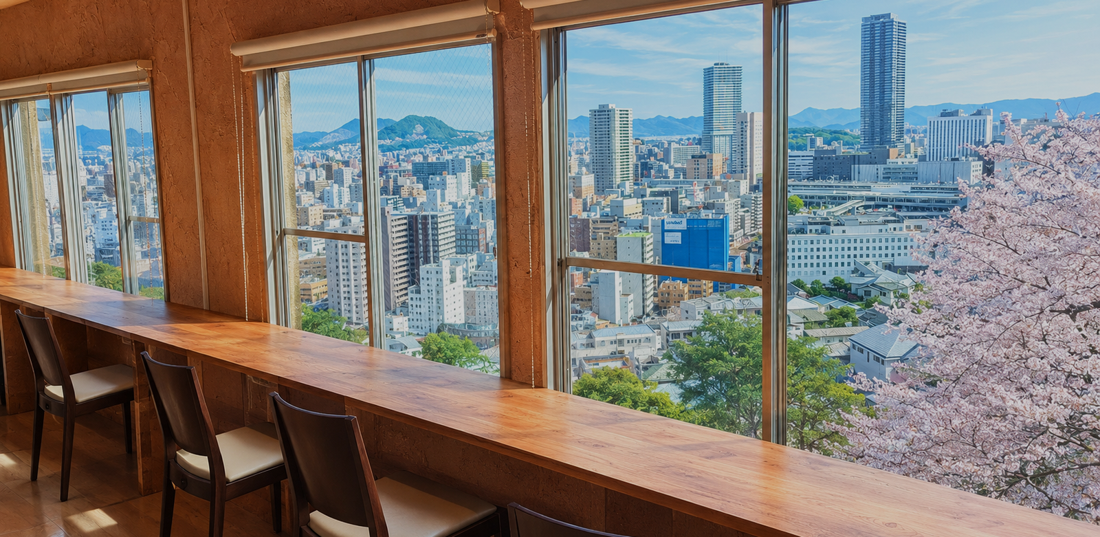 当カフェからの眺め